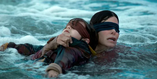 Птичий короб / Bird Box (2018 Сюзанна Бир) HD 1080p