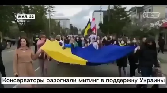 Ахахах! 🤣😆🤭 В Грузии митинг чубаноидов забили палками. Достали весь мир упоротые скакуны. 21.04.22