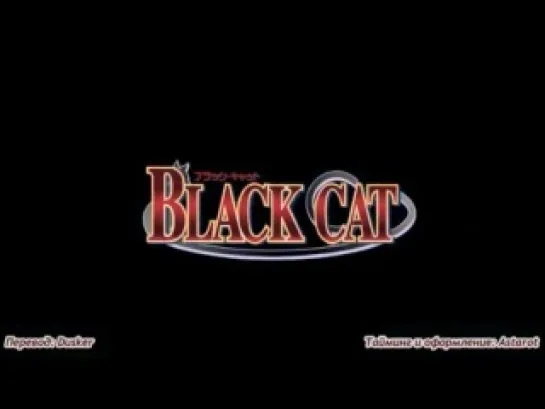 Black Cat / Чёрный кот - 12 (субтитры)