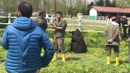 Yakın zaman tbt si... - BOLDİ çalışmaz adım atmaz ve Halis’in Ekin Koç kızıp padok kenarında çitlere oturup hayal kırıklığı yaşa