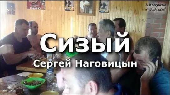 Песня Сергея Наговицына - 'Сизый'. Аркадий Кобяков и братва в гостях на даче Валерия и Виктории Юг, июль 2014, пос. Икша