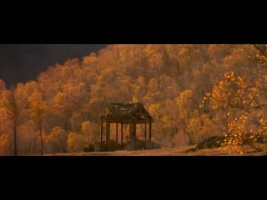 E. C. A. C. (1999)  Z. Yimou- Elena