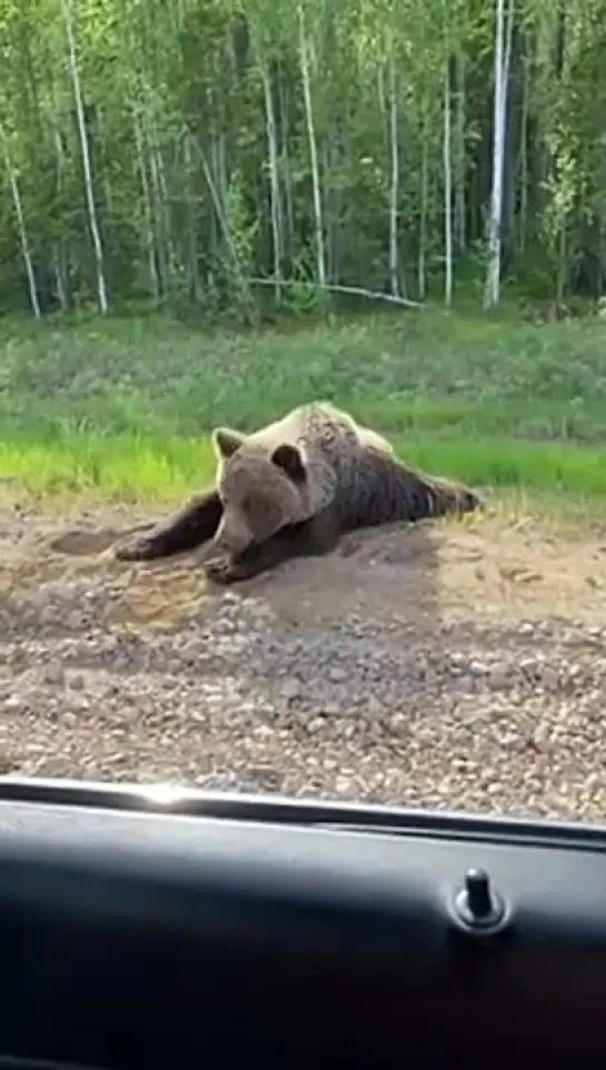 Это Россия, детка