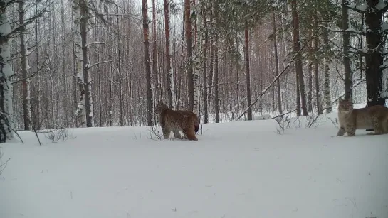 Видео от Нижний Новгород |БЕЗ ЦЕНЗУРЫ|