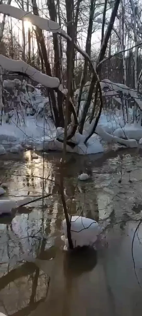 Видео от Нижний Новгород |БЕЗ ЦЕНЗУРЫ|