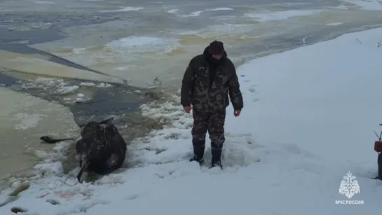 Видео от Нижний Новгород |БЕЗ ЦЕНЗУРЫ|