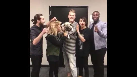 Pentatonix Doug the Pug