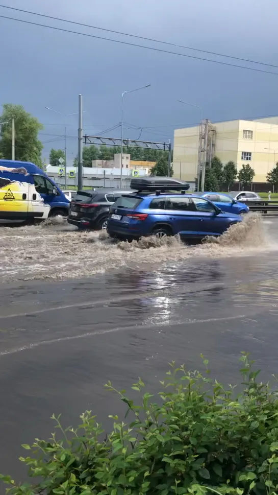 Видео от Евгении Рудашевской