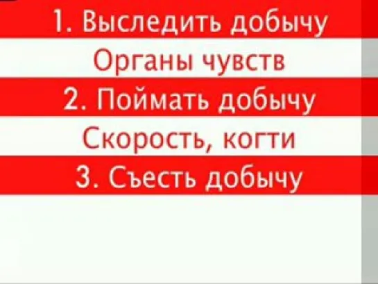 Отличное здоровье до 150 лет, инструкция к правильному использованию организма человека