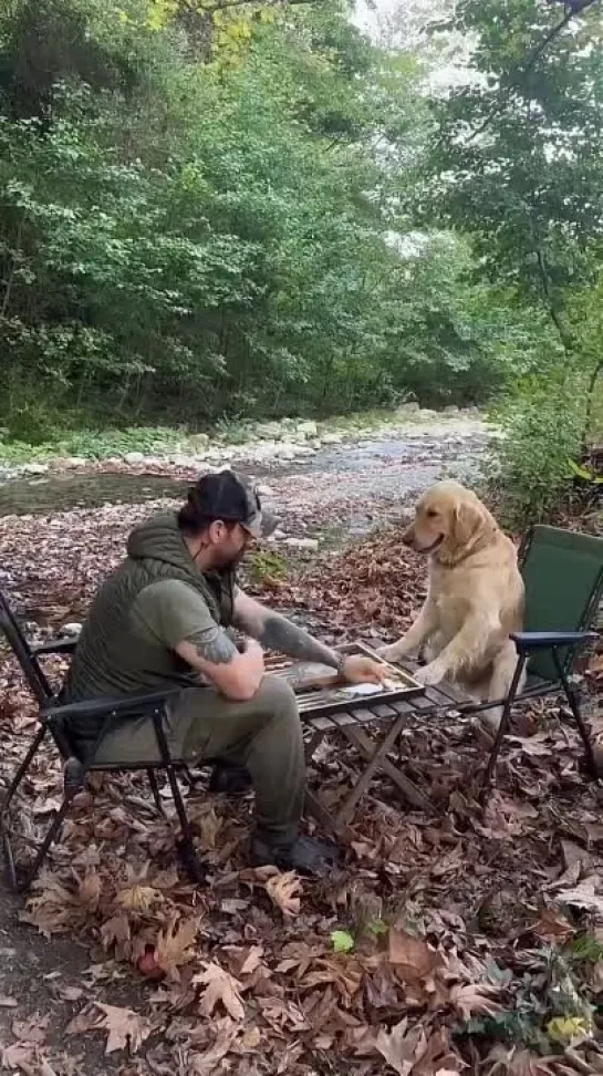 Видео от Мировая Кухня