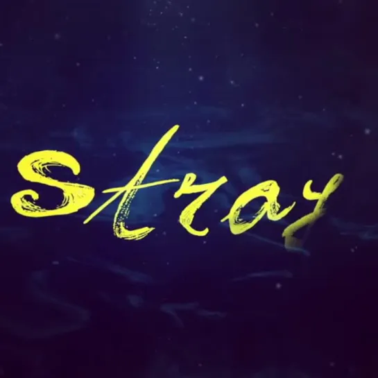 STRAY