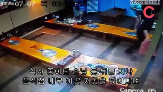 Дикий кабан-секач ворвался в традиционное корейское кафе / Wild Boar Goes On The Rampage In A Korean Restaurant