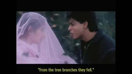 Shahrukh.Khan.100.Hitov.069.Dil.Se.1992-2009.DivX.DVDRip