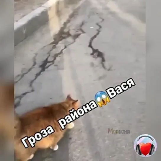 Смотрящий за порядком