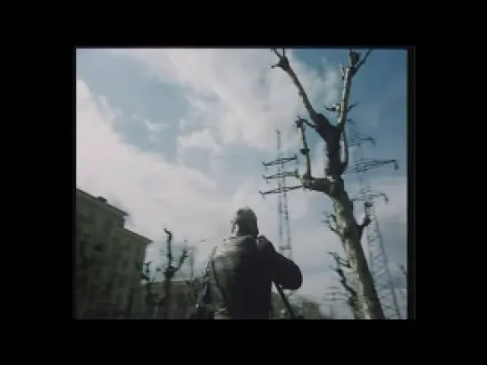 31). "Куколка"   (1989)