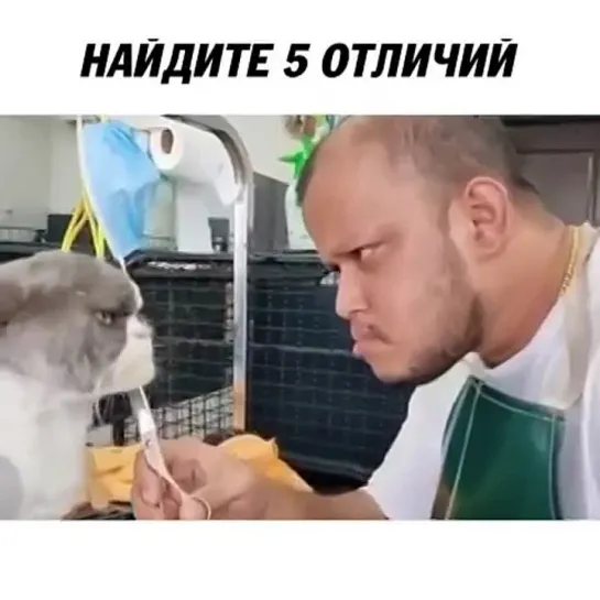 Бapбepшoп yжe нe тoт 😂