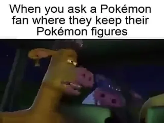 pokemon fans