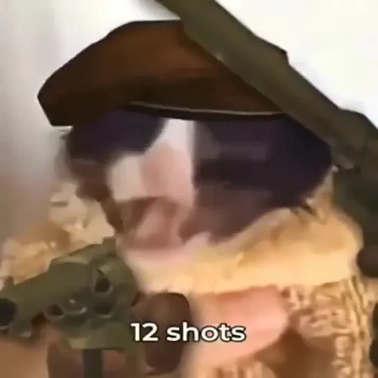 12 shots