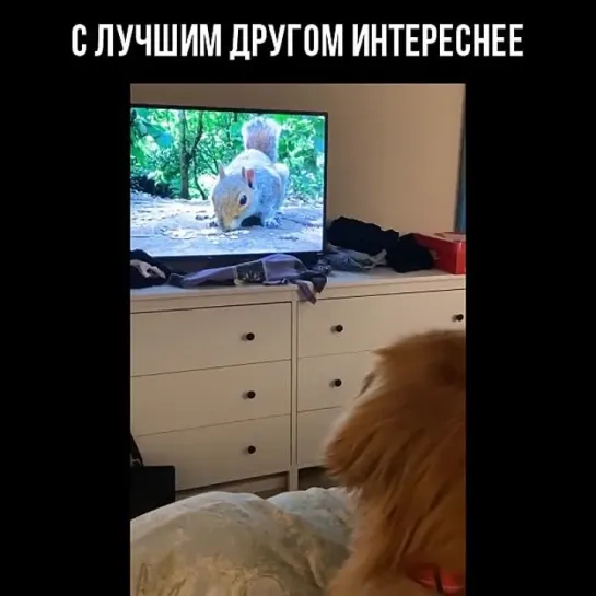 С лучшим другом