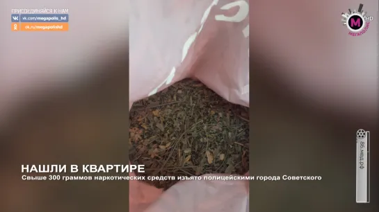 Мегаполис - Нашли в квартире - Советский