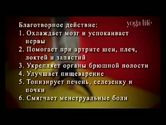 Парсвоттанасана - сильное растягивание груди