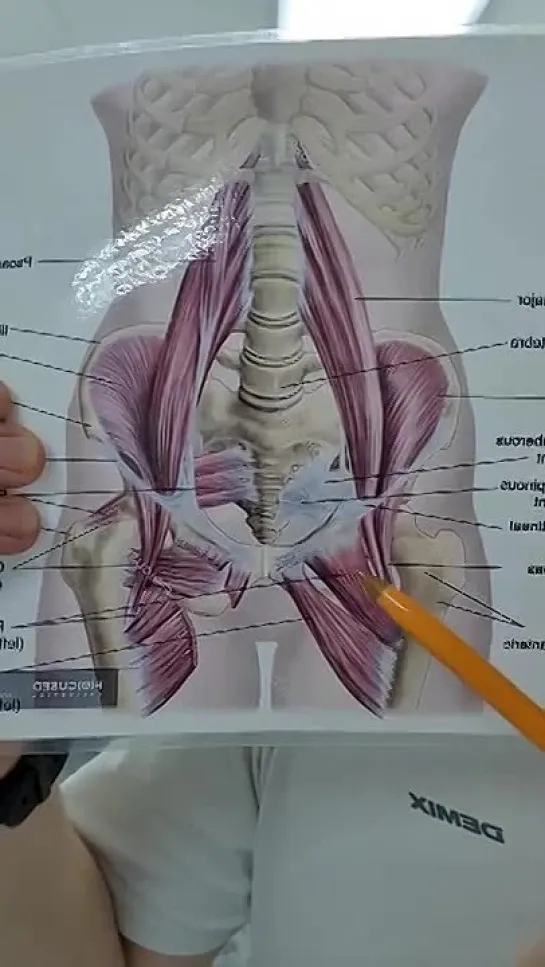 Растяжка подвздошно-поясничной мышцы. Упражнения