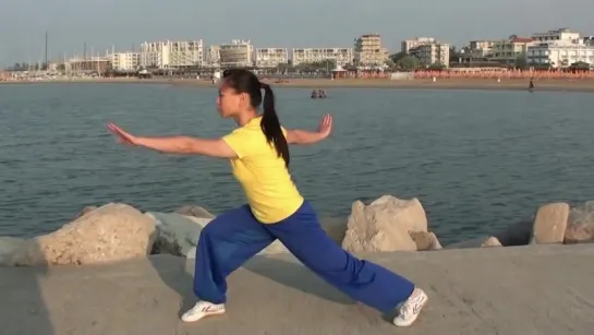 WUSHU TUTORIAL- Front Sweep Kick 900° by Jade Xu