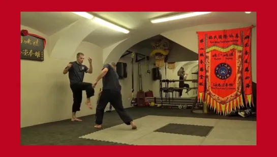 sanshou - wingchun