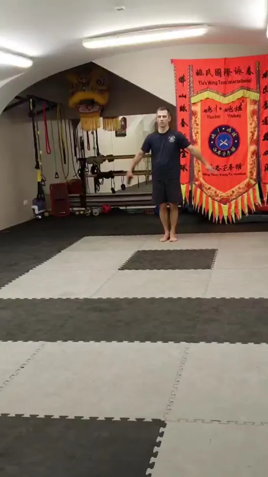 Yiu's snake style Wing Tsun faction. Змеиный стиль Вин Чунь клана Яо. Yiuchoi Yiukay Wing Chun - Foshan