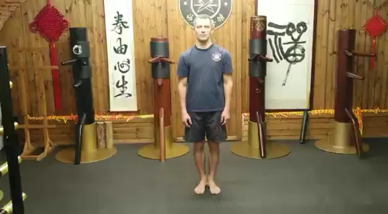 Yiu's snake style Wing Tsun faction. Змеиный стиль Вин Чунь клана Яо. Yiuchoi Yiukay Wing Chun - Foshan