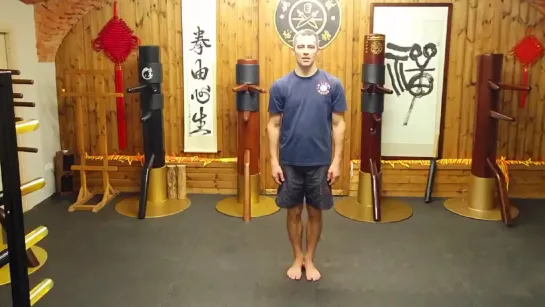 Yiu's snake style Wing Tsun faction. Змеиный стиль Вин Чунь клана Яо. Yiuchoi Yiukay Wing Chun - Foshan