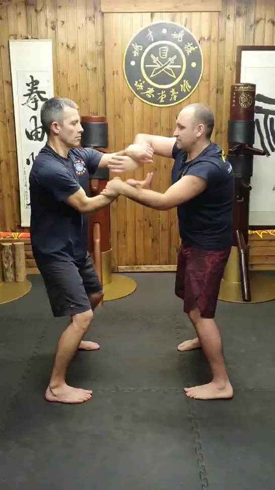 Yiu's snake style Wing Tsun faction. Змеиный стиль Вин Чунь клана Яо. Yiuchoi Yiukay Wing Chun - Foshan