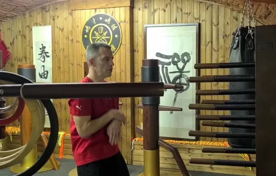 Yiu's snake style Wing Tsun faction.
Змеиный стиль Вин Чунь клана Яо.
Yiuchoi Yiukay Wing Chun - Foshan