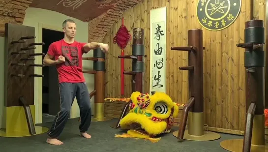 Yiu's snake style Wing Tsun faction.
Змеиный стиль Вин Чунь клана Яо.
Yiuchoi Yiukay Wing Chun - Foshan.