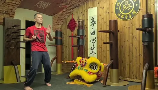 Yiu's snake style Wing Tsun faction.
Змеиный стиль Вин Чунь клана Яо.
Yiuchoi Yiukay Wing Chun - Foshan.