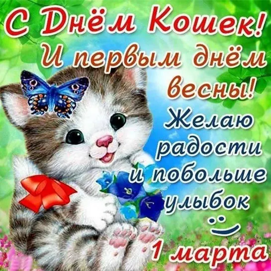 1 МАРТА ✩🐈😼🦋🐞💕😻🐈✩ ДЕНЬ КОШЕК! ✩🐈🐱💕🐞🦋😺🐈✩