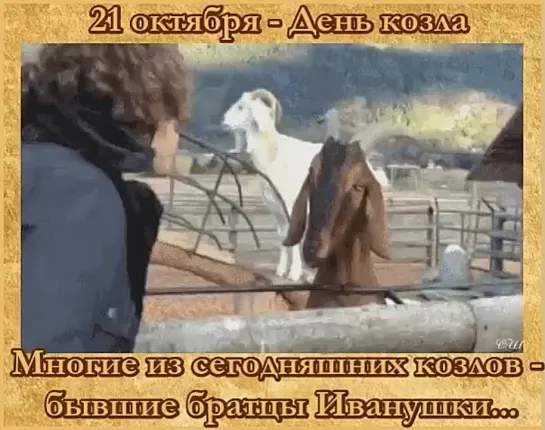 21 октября - День козла