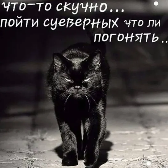 Что то скучно. Пойти суеверных попугать, что ли?! Пятница 13 -е, всё таки!😏