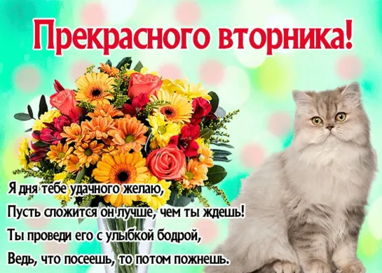 Хорошего Вторника 🌸🌺🍃• *¨`* •. ¸🍃🌸💗🌸🍃• *¨`* •.¸🍃🌺🌸 Пусть у каждого будет отличный день! 🌷