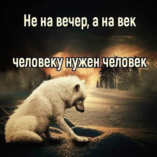 Не на вечер, а на Век! Человеку нужен человек