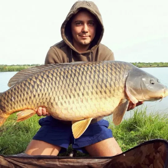 "Большой улов" ЛОВЛЯ КАРАСЯ ЖИВЫМИ  🐠🐟🐡  РУКАМИ