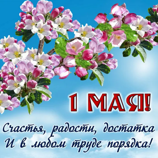 💖🌺🌼🌸 1 Мая праздник весны и труда 🌷🥀🌷🥀🌸🌼🌺