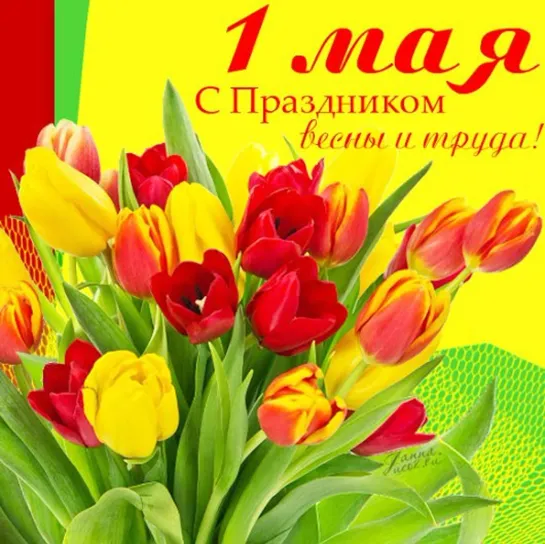 1 Мая 💖🌺🌼🌸❤️ Праздник Весны и Труда❤️🌷🥀🌷🥀🌸🌼🌺