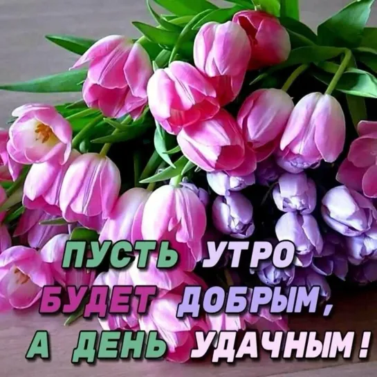 🌸✨🌸  « С ДОБРЫМ  УТРОМ »  🌸✨🌸  С ЦВЕТАМИ 🌹🌞💖