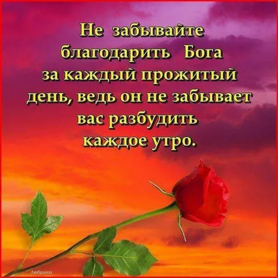 "Цените то, что утром встали, Что Бог от сна Вас разбудил, А в ночь, когда вы засыпали Вас ангел бережно хранил"