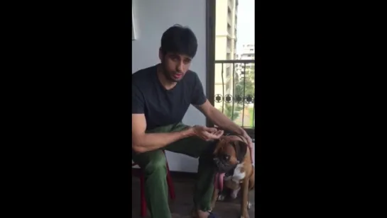 Sidharth - #AnimalFriendlyDiwali