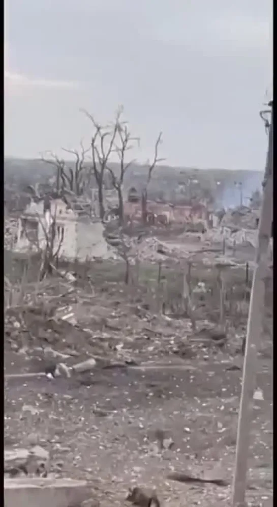 Видео от Военный Осведомитель