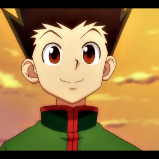 ▹ hunter x hunter; gon