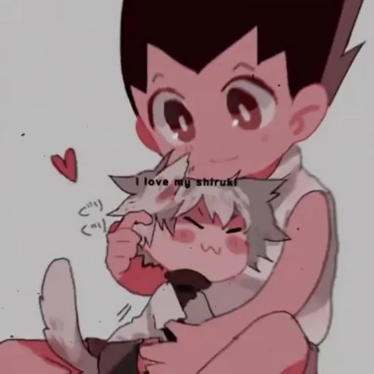 ▹ hunter x hunter; killugon