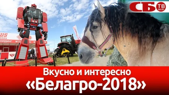 "Белагро-2018" – самое интересное на выставке под Минском